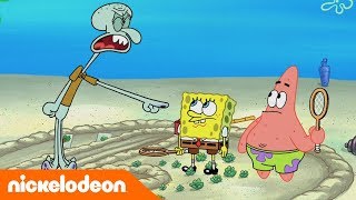 SpongeBob  Nickelodeon Arabia  سبونج بوب  حب الجيران [upl. by Alaik]