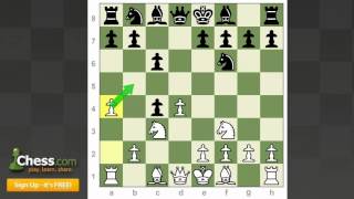 Chess Openings  How to Play the Slav Defense [upl. by Hintze]