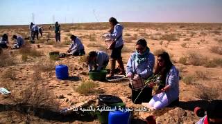 Kuwait Energy Green Wall Documentary كويت إنرجي سور الكويت الأخضر [upl. by Myrah32]