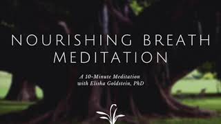 10Minute Nourishing Breath Meditation [upl. by Osnofledi]