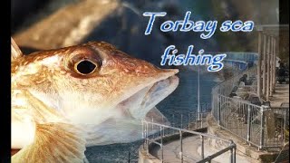 Torbay Sea FishingearthwormsMeadfootbeachRockfishing [upl. by Walls279]