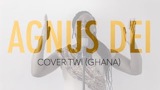 Agnus Dei coverTwi Ghana [upl. by Stubbs]