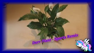 Durr Plant  Sparta Remix [upl. by Nitneuq482]