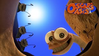 Can Oscar Help His Beetle Friends  Oscar’s Oasis  Funny Cartoons for Kids [upl. by Marnie]