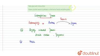 All are features of entomophilous flowers excepts  12  NEET MOCK TEST 4  BIOLOGY  NTA MOCK [upl. by Jacobah100]