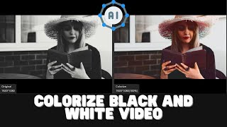 Using AI to Colorize Black and White Video on PC and Mac [upl. by Sheya]