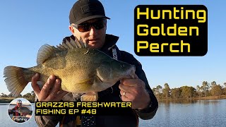 Spring Golden Perch Yellow Belly Fishing At Lake Eppalock [upl. by Zweig460]