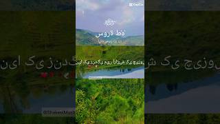 Surah Taha verse 131132  with urdu hindi translation HD  ytshorts viral trending [upl. by Anayi613]