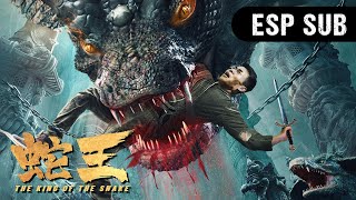 📽️Película Completa  ¡Palacio de serpientes extraño The King of the Snake  WeTV [upl. by Yeslaehc]