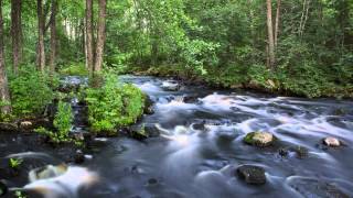 3 Hours of White Noise Bruit Blanc Relaxing and Soothing River Sound for Sleep and Concentration [upl. by Filip]