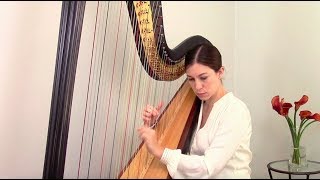 Muscade by Bernard Andrès Inspirational Videos for Young Harpists 28 [upl. by Ermin]