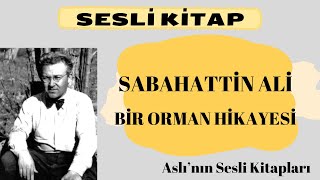 Sabahattin Ali Bir Orman Hikayesi Sesli Kitap Dİnle [upl. by Naibaf]