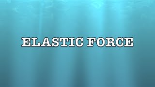 Elastic Force [upl. by Malkah]