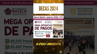 📌💵Operación para la distribución de pagos de la beca Benito Juárez Te contamos como está planeada [upl. by Donni]