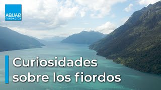 CURIOSIDADES sobre los FIORDOS [upl. by Shum]