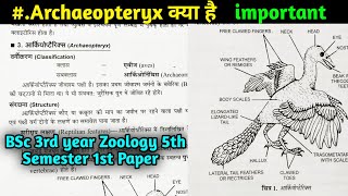 Archaeopteryx in Hindi  BSc 3rd year Zoology 5th semester Second Semester  BSc Zoology [upl. by Reidar]