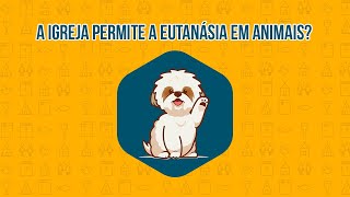 The Church  A Igreja permite a eutanásia em animais  Felipe Aquino [upl. by Eelnayr]