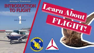 Civil Air Patrol Flights Best Kept Secret [upl. by Teteak341]