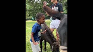 Bridgeway Summer Programming  Animal Week [upl. by Nahtnaoj]