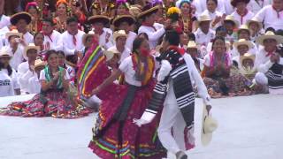 Jarabe Mixteco Guelaguetza [upl. by Hodge704]