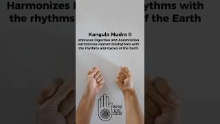 digestion assimilation biorhythm harmony kangula mudra yoga yogacyprus ahimsayoganicosia [upl. by Duomham450]