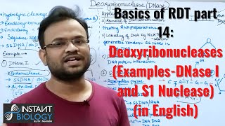 Basics of RDT part 14 Deoxyribonucleases ExamplesDNase I and S1 Nuclease [upl. by Nogem551]