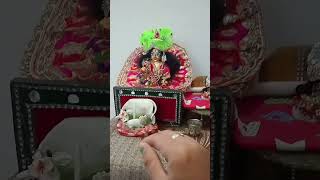 मेरा श्याम अजता मेरा सामना राधा राधा बोलो laddu radhe music shyam radheshyam song music 🎶 🎶🎶🎶 [upl. by Yblocaj501]