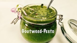 Homemade Fresh Goutweed Pesto Sauce  Wild Herbs  Vegan  Fast and Easy [upl. by Quigley327]