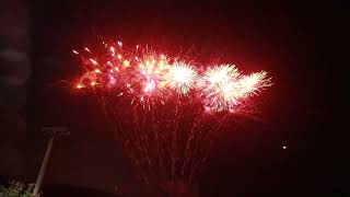 Bloomin Marvels from Celtic Fireworks fireworkcrazy​ fireworkcrazy [upl. by Nahum624]