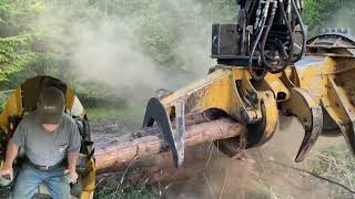 Feller Cutting Trees  Multi camera perspective [upl. by Goldin]