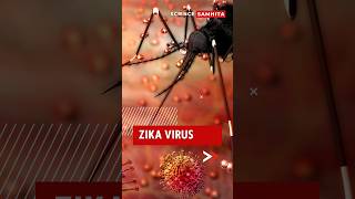 Zika Virus Risks and Prevention Tips zikavirus [upl. by Novikoff]