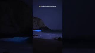 🌌Placton luminoso en Baru cartagenadeindias colombia islasdelrosario videoshort [upl. by Pruchno537]