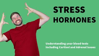 Stress hormone blood tests explained Cortisol Cushings and Adrenal fatigue [upl. by Tews]