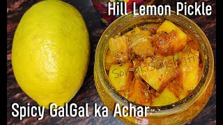 Hill Lemon Pickle  GalGal ka Achar  सालो चलने वाला अचार  Galgal ka Achar by soma ki sanskriti [upl. by Demetris960]