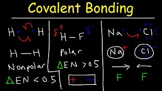 Polar Covalent Bonds and Nonpolar Covalent bonds Ionic Bonding  Types of Chemical Bonds [upl. by Aierb292]