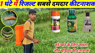 ज्वार में कीट नियंत्रण। profenofos 40  cypermethrin 4 ec uses Kalia emamectin benzoate 5 sg use [upl. by Vickey]