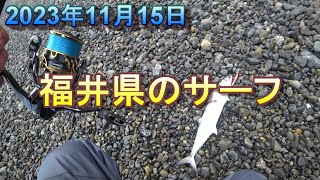 福井県のサーフでショアジギング 2023年11月15日 [upl. by Howund]