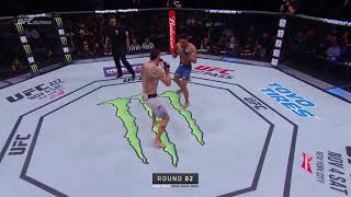 Kevin Lee Vs Tony Ferguson Full Fight [upl. by Rafaelle559]