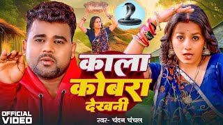 Video  Chandan Chanchal  काला कोबरा देखनी  Kala Cobra  Soumya Pandey  New Bhojpuri Song 2024 [upl. by Woolley]