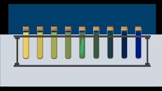 How To Observe Photosynthesis and Respiration Using a pH Indicator [upl. by Hart]