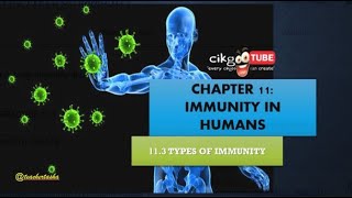 BIOLOGY KSSM FORM 4 113 TYPES OF IMMUNITY [upl. by Aitak]