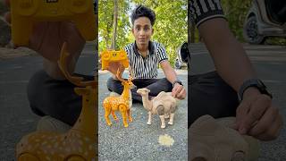 Rc Camel And Remote Control Deer Unboxing🔥🦌 [upl. by Aelam407]