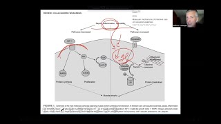 Dr Giulliano Gardenghi  Marcadores inflamatórios e prescrição do exercício no ambiente hospitalar [upl. by Osmund]