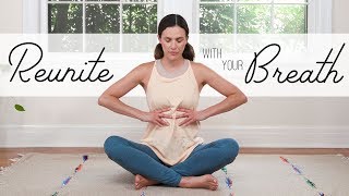 Reunite With Your Breath  19Minute Breath Practice [upl. by Maddox]