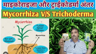 Mycorrhiza और Trichoderma में अंतर mycorrhiza trichoderma vam [upl. by Edward]