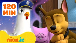 PAW Patrol Pups Have Weird Dreams 2 w Chase amp Chickaletta  2 Hours  Nick Jr [upl. by Novy630]