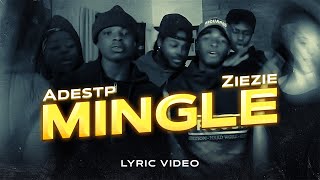 Adestp x Ziezie  Mingle lyric video [upl. by Elehcim]