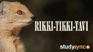 Rikki Tikki Tav Audio [upl. by Vladimar]