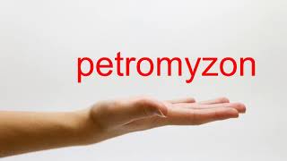 How to Pronounce petromyzon  American English [upl. by Crispa]