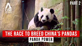 The Power Of Pandas In ChinaSoutheast Asia Relations  Panda Power  Part 22  CNA Documentary [upl. by Tloc]